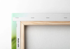 Stampa su tela – Steli d'erba in verde