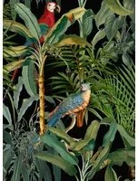 Mindthegap Carta da parati Parrots of Brasil - WP20522