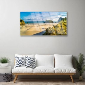 Quadro in vetro acrilico Spiaggia del mare dell'oceano 100x50 cm