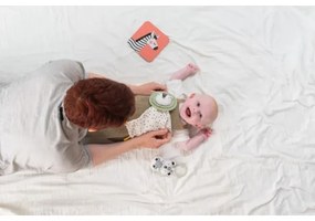 Taf Toys - Confezione regalo HELLO BABY