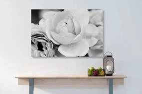 Stampa su tela – Pieno di rose in bianco e nero