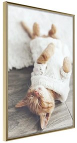 Poster  Kitten Life  Cornice Quadri Cornice d'oro, Larghezza x Altezza Home decor 20x30