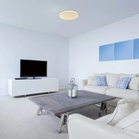 Rabalux 71183 - Plafoniera LED TREVOR LED/24W/230V 3000K diametro 38 cm