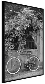 Poster  Bicycle with White Tires  Cornice Quadri Cornice nera, Larghezza x Altezza Home decor 20x30