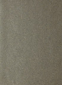 Harlequin Carta da parati Foxy - Graphite