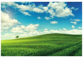 Carta da parati – Splendido giorno nel prato