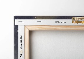 Quadro su tela – Ragazza sulla luna