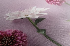 Stampa su tela – Composizione di crisantemi rosa