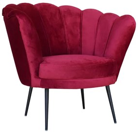 Poltrona in velluto Bordeaux - modello conchiglia e gambe metallo nero