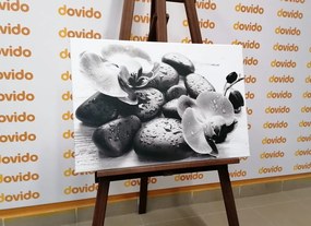 Quadro su tela – Bella armonia di pietre e orchidee in bianco e nero