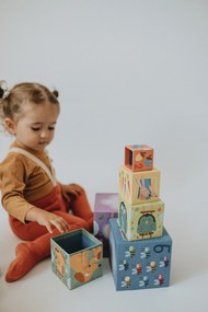 Cubi da sovrapporre - piramide - madri e cuccioli