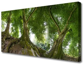 Quadro su tela Alberi, piante, natura 100x50 cm