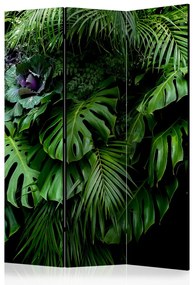 Paravento design Foreste pluviali - paesaggio di foglie tropicali su sfondo di giungla