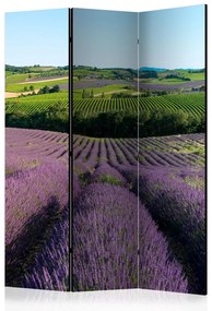 Paravento design Campi di lavanda (3 pezzi) - Paesaggio provenzale con fiori viola