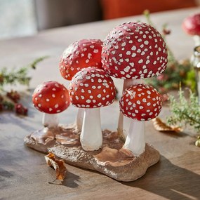 LOBERON Funghi decorativi Quintelle