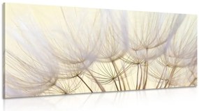 Quadro su tela – Semi di soffione