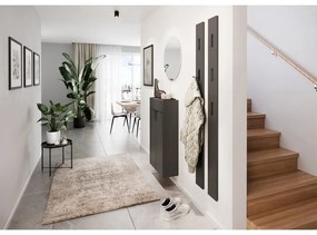 Armadietto color antracite 56x97x22 cm Ameca – Germania