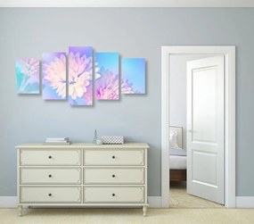 Quadri 5 pezzi – Fiore di crisantemo