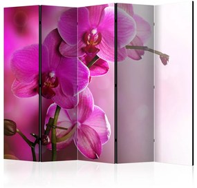 Paravento design Pink orchid II (5 pezzi) - fiori sbocciati su uno sfondo rosa chiaro