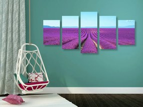 Quadri 5 pezzi – Campo di lavanda infinito
