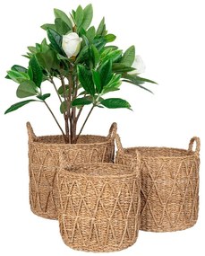 Set di cesti in erba marina 3 pz ø 32x30 cm Krabi – House Nordic