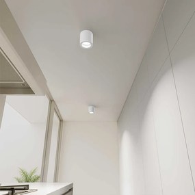 Applique da soffitto IP54 GU10 in Alluminio e Vetro - Bianca Colore del corpo Bianco