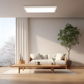 Brilagi - Lampada a LED dimmerabile FRAME SMART LED/30W/230V bianco IP44 + telecomando