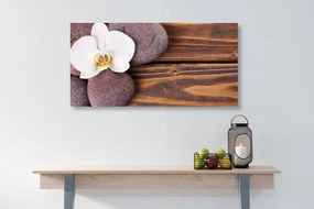 Stampa su tela – Pietre per il benessere e orchidea su sfondo di legno