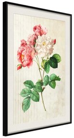 Poster  Romance II  Cornice Quadri Cornice nera con pass-partout, Larghezza x Altezza Home decor 20x30