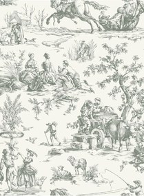 Coordonne Carta da parati Bucolic Toile - Steel