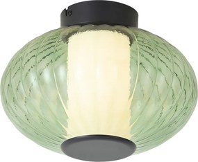 Plafoniera di design nera 28cm con vetro verde incl. LED dimmerabile a 3 fasi - Margherite