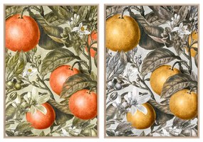 Quadro frutta DKD Home Decor (2 pezzi) (53 x 4.5 x 73 cm)