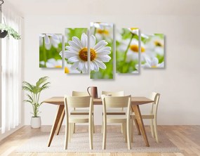 Quadri 5 pezzi – Prato primaverile pieno di fiori