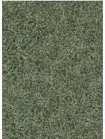 Zoffany Carta da parati Shagreen - Olivine