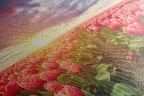 Stampa su tela – Alba sopra il prato con tulipani