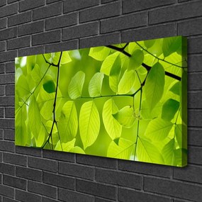 Quadro su tela Foglie di piante naturali 100x50 cm