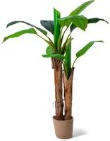 Banana Tree - Pianta Artificiale in vaso H160 cm