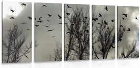Quadri 5 pezzi – Stormo di corvi