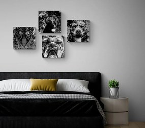 Set di quadri – Animali in stile pop art in bianco e nero