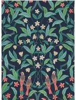 Cole & Son Carta da parati Jasmine & Serin Simphony - Coral on Ink