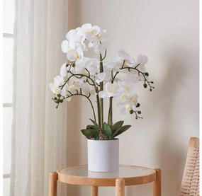 Eglo 428024 - Pianta artificiale in vaso HYUGA 65x50 cm orchidea