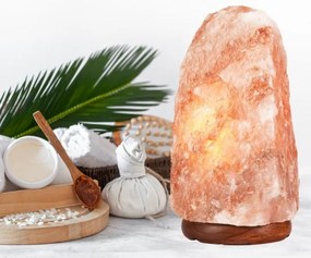 Lampada al sale SALLY 1xE14/25W/230V