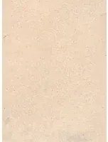 Terrastone Rustique floor - 15kg - 17 - champagner havane - 15 kg