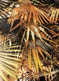 Jean Paul Gaultier Tapete Polynesie - Mordore
