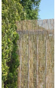 Tappetino frangivista in salice colore naturale 300x200 cm - Garden Pleasure