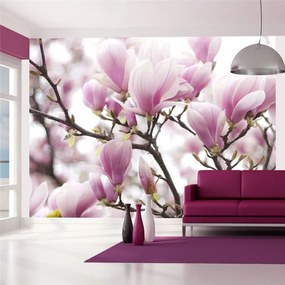 Fotomurale Rami di magnolia in fiore