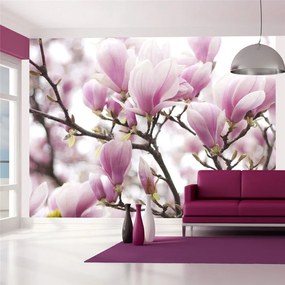 Fotomurale  Rami di magnolia in fiore  Colore Rosa, Dimensioni e Misure 250x193