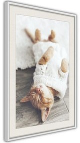 Poster  Kitten Life  Cornice Quadri Cornice nera, Larghezza x Altezza Home decor 20x30