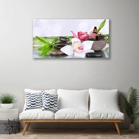 Quadro su tela Fiori di orchidea bambù 100x50 cm