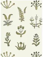 Josephine Munsey Carta da parati Floral Spot - Chaingate Green/ Meadow/ Ringhill White
